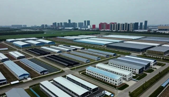 技术转让选择怎么做得更稳:技术培训一线经验